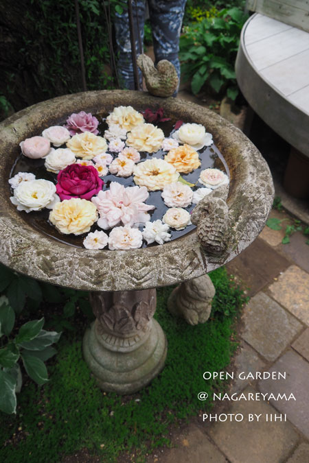 nagareyamaopengarden2015_21.jpg
