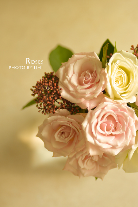 roses2013_iihi.jpg