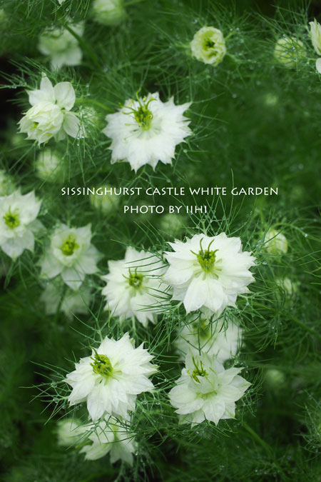 sissinghurstcastle-garden20.jpg