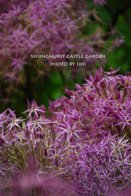 sissinghurstcastle-garden22.jpg