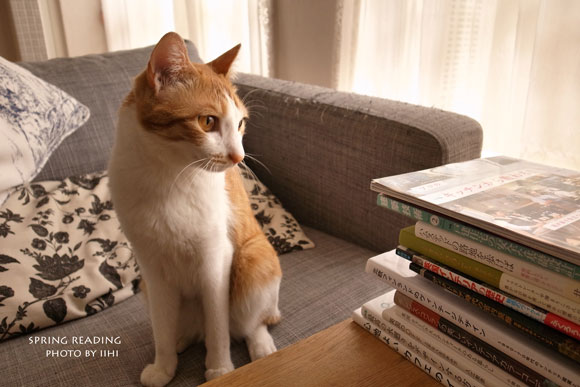 springreading2014.jpg