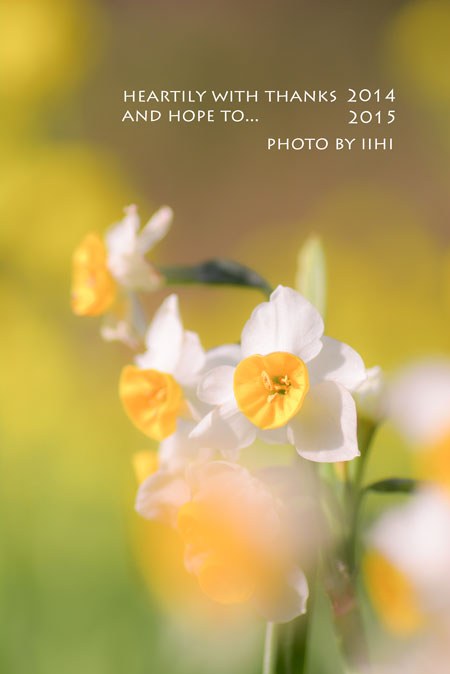 thanks2014hopeto2015.jpg