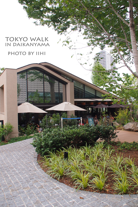 tutayashotendaikanyama00.jpg