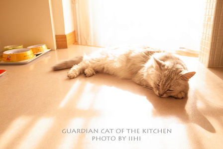 Guardiancat3.jpg