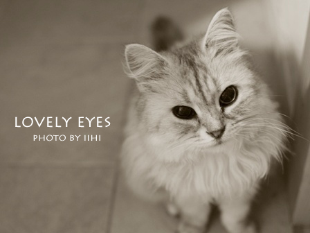 Lovely-eyes201104.jpg