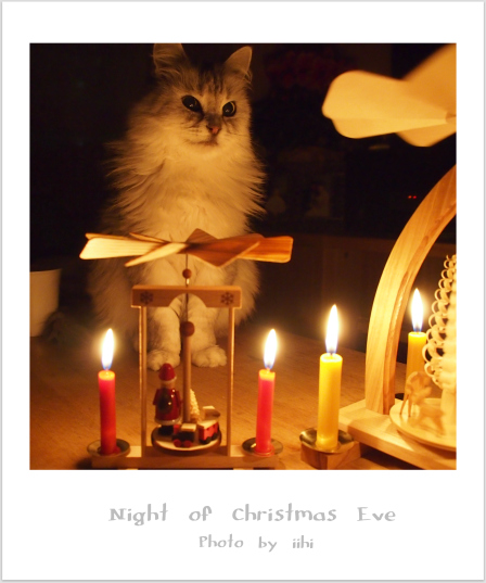 Night of Christmas Eve2011.jpg
