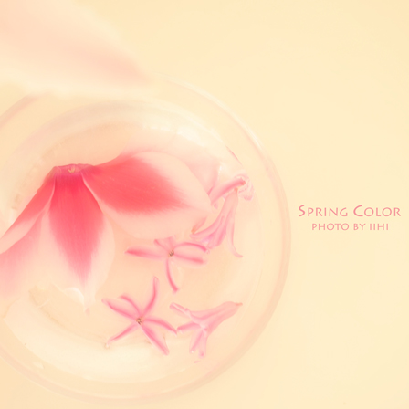 Springcolor3.jpg