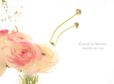 colorofspring2-20110310.jpg