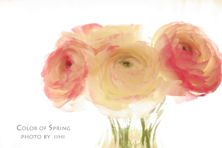 colorofspring3-20110310.jpg