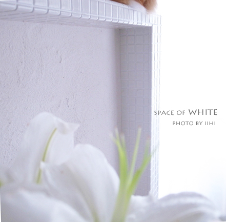 space-of-a-white.jpg