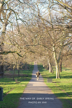 the-way-of--early-spring201.jpg