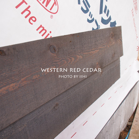 western-red-cedar-20120228_1.jpg