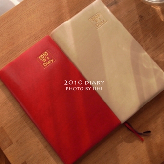 2010diary.jpg
